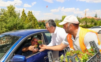 Nevşehir halkına mezarlıkta begonya sürprizi