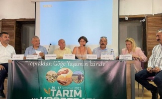 Rize Fındıklı'daki tarımsal çalışmalar Tunceli'de anlatıldı