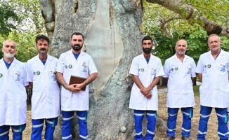 Bursa'da 'Çınar Hekimleri' iş başında