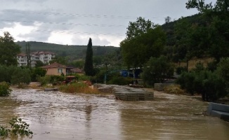 Bursa Mudanya'da 'sağanak' teslimiyet! 260 konutu su bastı, ağaçlar devrildi, dereler taştı!