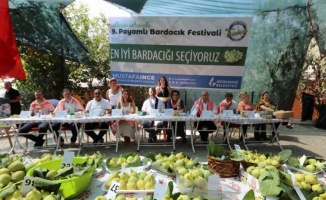 İzmir'de Payamlı Bardacık Festivali'ne büyük ilgi