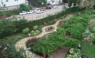 ‘Tıbbî Bitkiler Bahçesi’ hayran bırakıyor