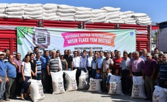 Mersin'de üreticiye belediye desteği