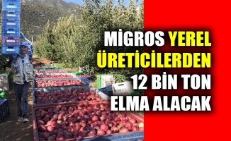 Migros yerel üreticilerden 12 bin ton elma alacak