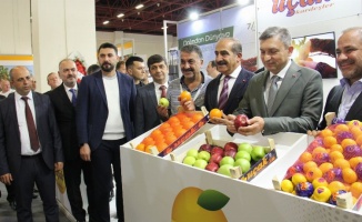 Avrupalı zincir marketler Antalya’ya akın etti