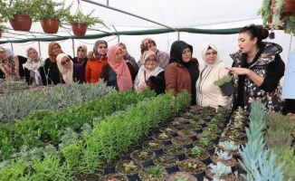 Kadın çiftçilere süs eğitimi
