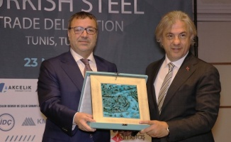 Türk çelik sektöründen Afrika çıkarması