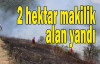 2 hektar makilik alan yandı