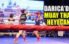  Darıca'da Muay Thai heyecanı