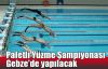  Paletli Yüzme Şampiyonası Gebze'de yapılacak