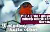  PTT A.Ş.'de 1 milyon yılbaşı tebrik kartı ücretsiz