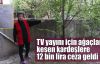 TV yayını için ağaçları kesen kardeşlere 12 bin lira ceza