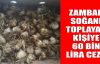  Zambak soğanı toplayan kişiye 60 bin lira ceza