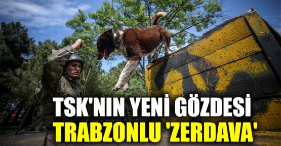 TSK'nin yeni gözdesi Trabzonlu 'Zerdava'