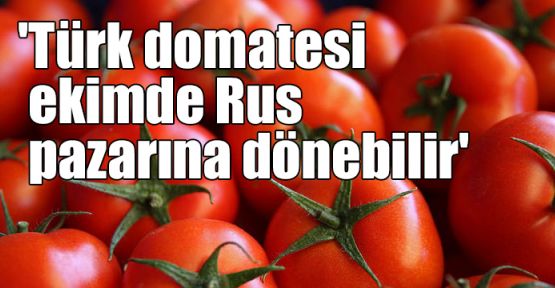  'Türk domatesi ekimde Rus pazarına dönebilir'