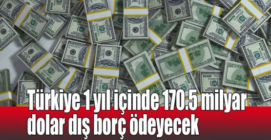 Türkiye 1 yıl içinde 170.5 milyar dolar dış borç ödeyecek