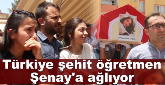  Türkiye şehit öğretmen Şenay'a ağlıyor