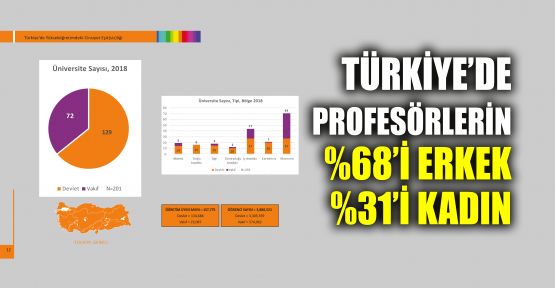 Türkiye’de profesörlerin %68’i erkek, %31’i kadın