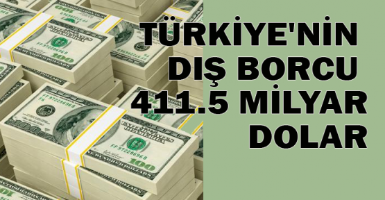 Türkiye'nin dış borcu 411,5 milyar dolar 