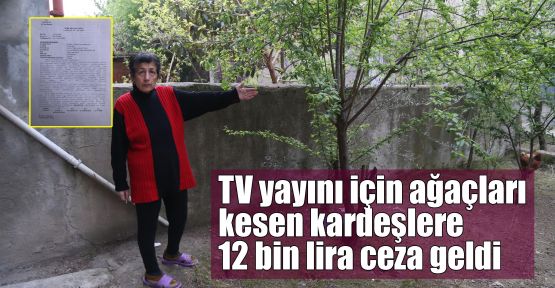 TV yayını için ağaçları kesen kardeşlere 12 bin lira ceza